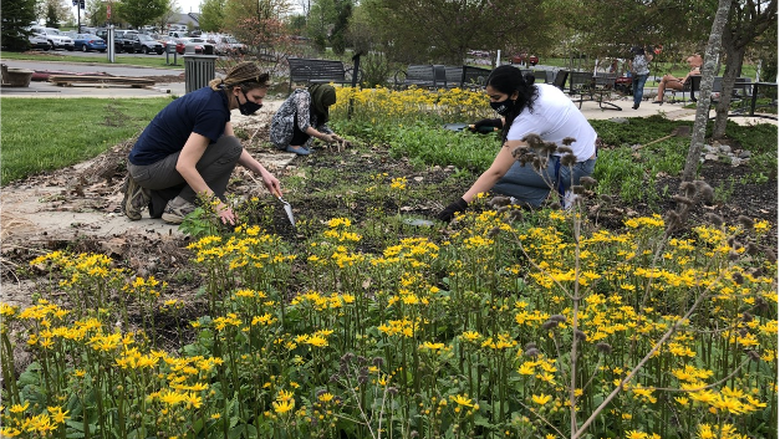 Students working in Penn State Lehigh Valley's pollinator garden